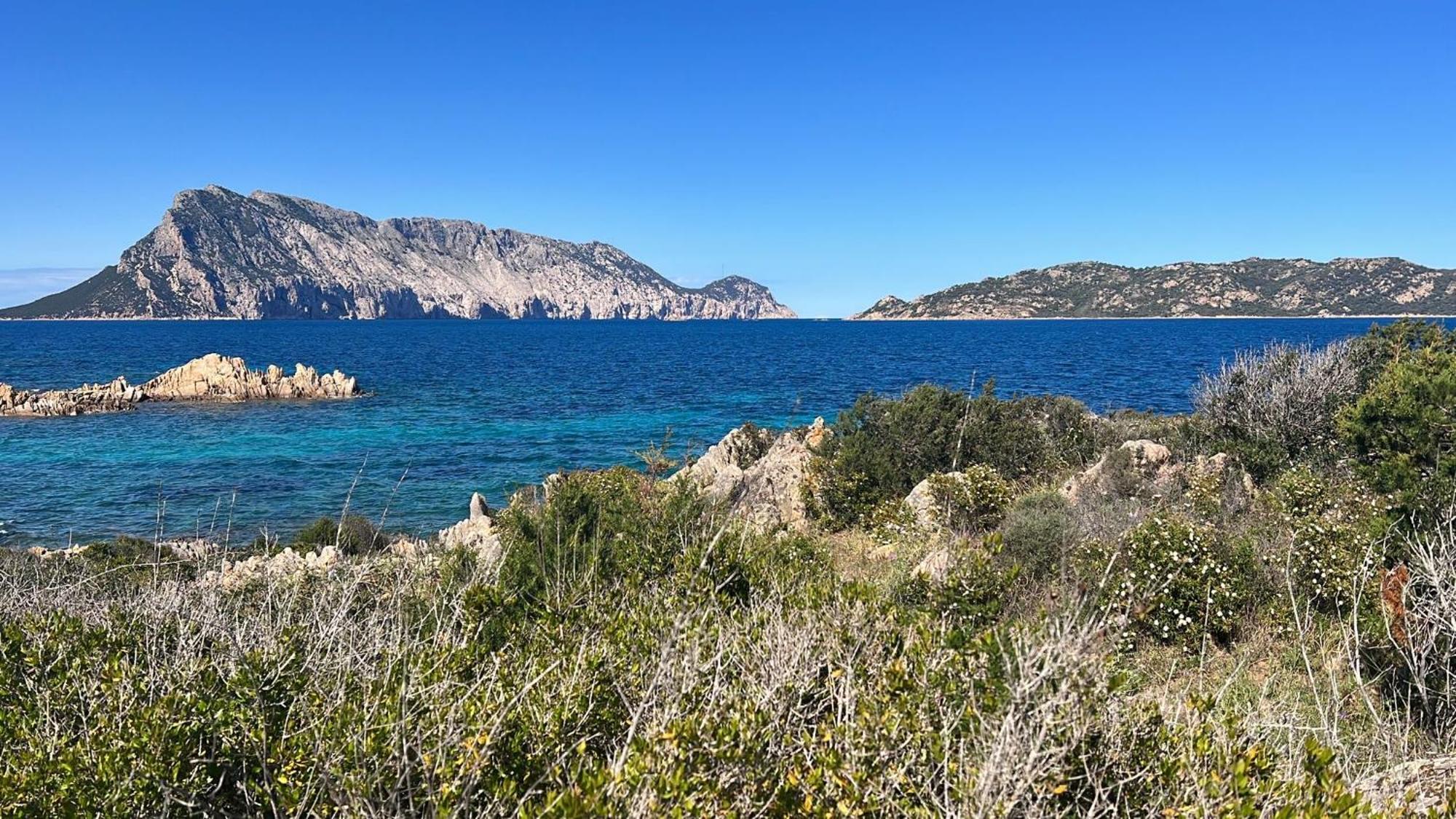 Appartamento Da Wanna Olbia Eksteriør bilde